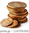 Isolated of stacked gold coins in neat piles 114795269