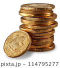 Isolated of stacked gold coins in neat piles 114795277