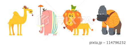 Funny African Wild Animals from Safari Wear Clothing Vector Set 114796232