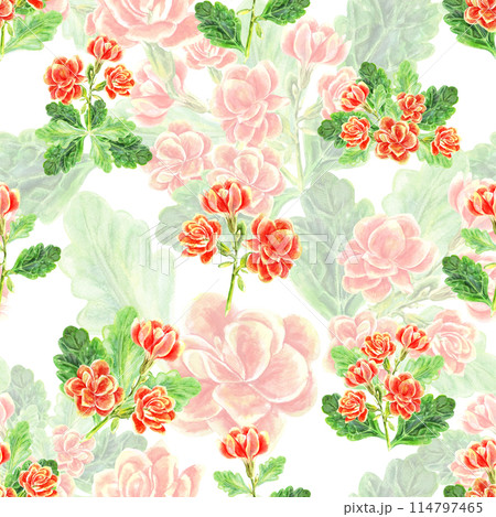 Kalanchoe pattern of flowers and leaves of succulents bouquet. Watercolor hand painted illustration isolated on white background. Used in packaging, on fabric, textiles and wrapping paper Kalanchoe pattern of flowers and leaves of succulents bouquet. Watercolor hand painted illustration isolated on white background. Used in packaging, on fabric, textiles and wrapping paper 114797465