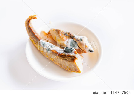 かびた焼き魚 かびた焼き魚 114797609