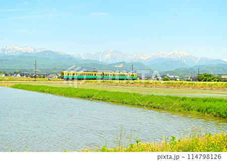 立山連峰と富山地方鉄道のかぼちゃ電車 114798126