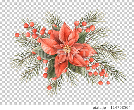 Poinsettia with fir branches and Christmas red berries. Watercolor Christmas composition in vintage style. Bouquet for Christmas and New Year holidays, invitations, cards, decorations, packaging Poinsettia with fir branches and Christmas red berries. Watercolor Christmas composition in vintage style. Bouquet for Christmas and New Year holidays, invitations, cards, decorations, packaging 114798564