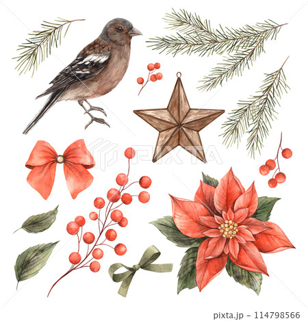 Christmas set with bird, fir branches, poinsettia, red berries. Watercolor Christmas and botanical set in vintage style. Collection for Christmas and New Year holidays, invitations, cards, decorations 114798566