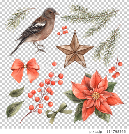 Christmas set with bird, fir branches, poinsettia, red berries. Watercolor Christmas and botanical set in vintage style. Collection for Christmas and New Year holidays, invitations, cards, decorations 114798566