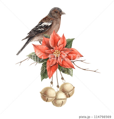 Realistic bird, red poinsettia with green leaves and red Christmas berries. Watercolor Christmas composition in vintage style. Composition for Christmas and New Year holidays, invitations, cards. 114798569