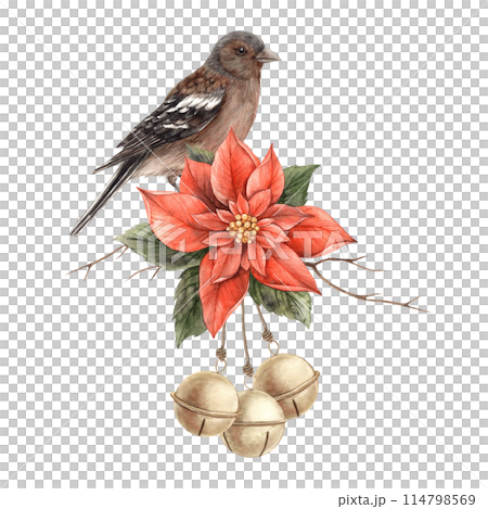 Realistic bird, red poinsettia with green leaves and red Christmas berries. Watercolor Christmas composition in vintage style. Composition for Christmas and New Year holidays, invitations, cards. 114798569