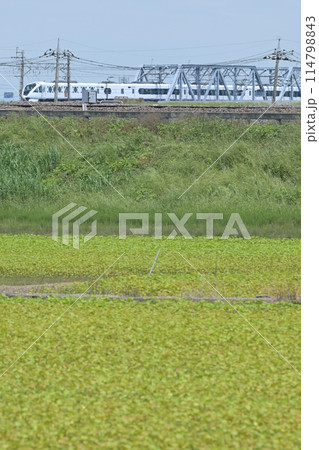田園地帯の鉄橋を渡る東武特急スペーシアX/SpaciaX（東武日光線） 114798843