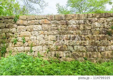 【史跡】村上城跡（新潟県村上市）　続日本100名城 114799105