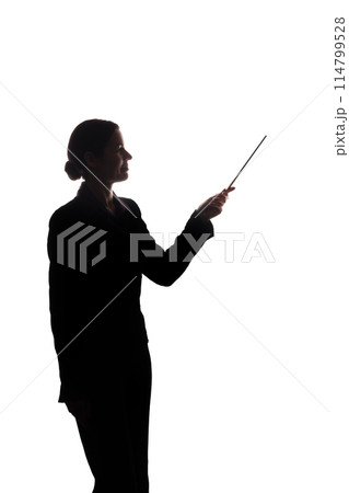Young woman in suit shows pointer forward, side view - silhouette 114799528