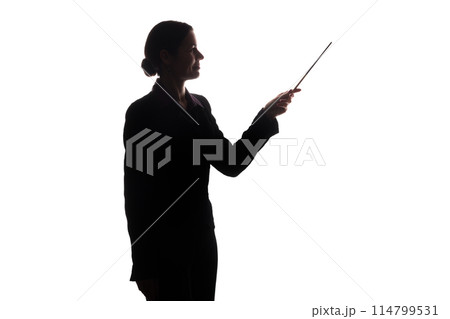 Young woman in suit shows pointer forward, side view - silhouette 114799531
