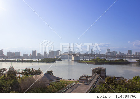 お台場から臨む東京の街並み お台場から臨む東京の街並み 114799760