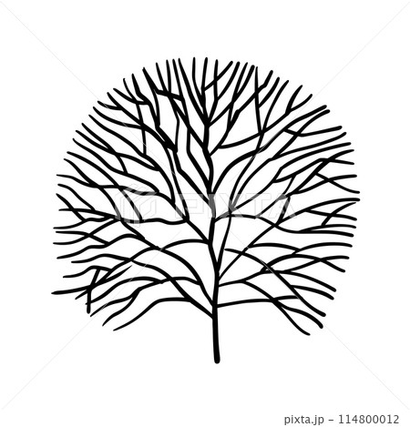 Tree with branches shaped like circle, black silhouette Tree with branches shaped like circle, black silhouette 114800012