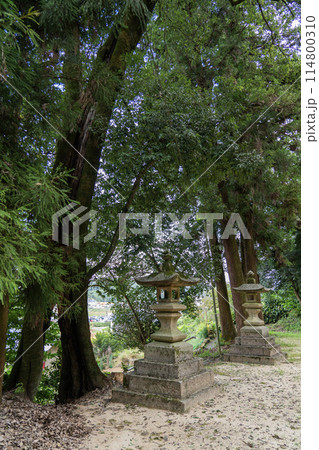 大森城址の神社 大森城址の神社 114800310
