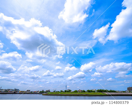 中川から望むスカイツリー 中川から望むスカイツリー 114800379