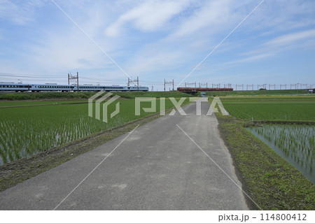 田園地帯ですれ違うJR特急車両（NEX）と東武特急SPACIA X 114800412