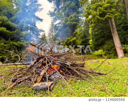 Burning bonfire made of branches and sticks with rising smoke in forest clearing surrounded by pine trees. Natural outdoor scene for camping and adventure. Hiking trip or overnight stays in forest. 114800569