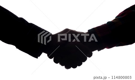 Handshake of two men, businessman and worker - horizontal silhouette 114800803