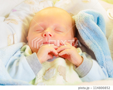Little newborn baby sleeping calmly in blanket Little newborn baby sleeping calmly in blanket 114800852