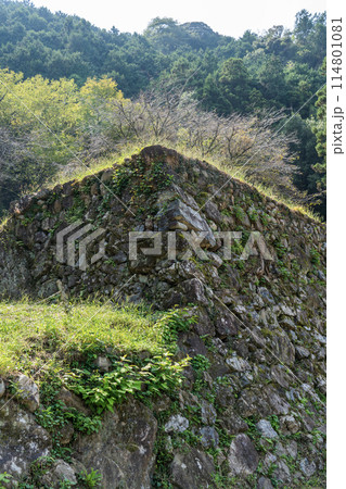 美濃金山城米蔵跡石垣の景色 114801081