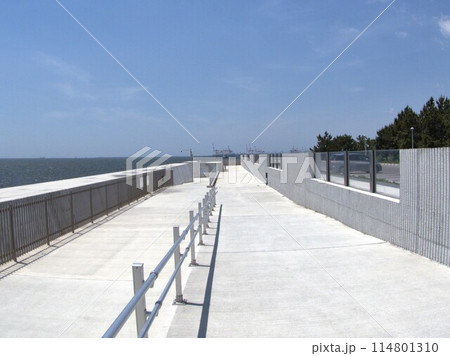 南芦屋浜ベランダの風景 114801310