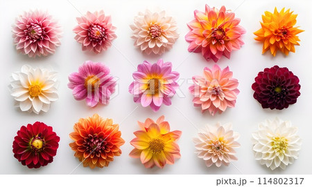 Vibrant Collection of Flowers Laid Out Neatly, Perfect for Spring Themes. High-Quality Image Designed for Versatile Use in Mind. Nature's Beauty Showcased. AI 114802317