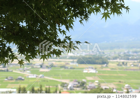 高台から見下ろす安曇野の眺め 高台から見下ろす安曇野の眺め 114802599