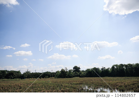Blue sky and cloud for background. Blue sky and cloud for background. 114802657