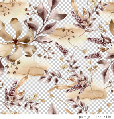 Delicate floral elements in sepia tones seamless watercolor pattern isolated. Flowers in monochrome patterns hand drawn. Vintage botanical background with leaves, berries, flowers on watercolor stains 114803116