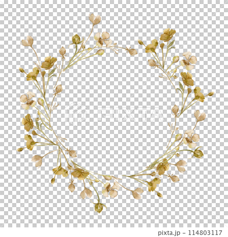 Circle frame of beige wild flowers isolated on white. Monochrome floral frame in watercolor sepia color. Abstract flowers hand drawn in brown. Design of branding, package, wedding card 114803117