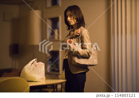 帰宅後食材をテーブルに置くビジネスウーマン のナイトルーティーン 帰宅後食材をテーブルに置くビジネスウーマン のナイトルーティーン 114803121