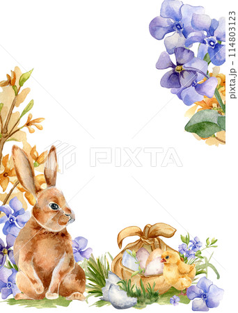 Easter border of blue spring flowers and watercolor bunny isolated on white. Floral template frame with eggs in fabric basket. Blooming forsythia branch hand drawn. Sketch hare for greeting card Easter border of blue spring flowers and watercolor bunny isolated on white. Floral template frame with eggs in fabric basket. Blooming forsythia branch hand drawn. Sketch hare for greeting card 114803123