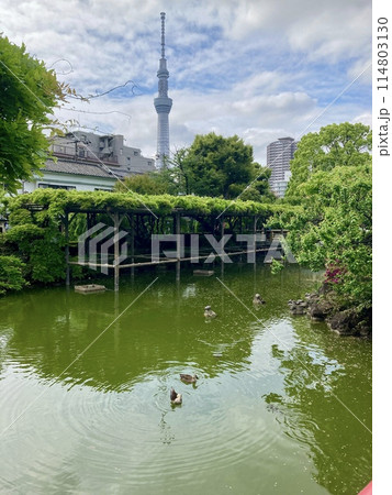 亀戸天神 亀戸天神 114803130