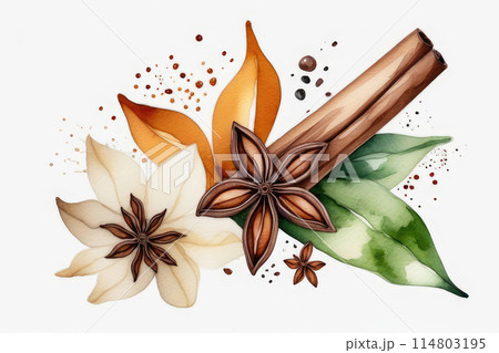Vanilla spices, sticks and vanilla flowers on white background in watercolor style. Vanilla spices, sticks and vanilla flowers on white background in watercolor style. 114803195