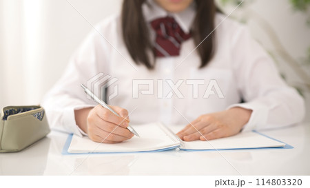 勉強する女子高生 114803320