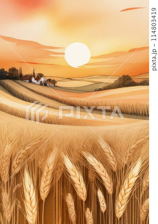 Watercolor composition of sunset lush wheat ripe field. 114803419