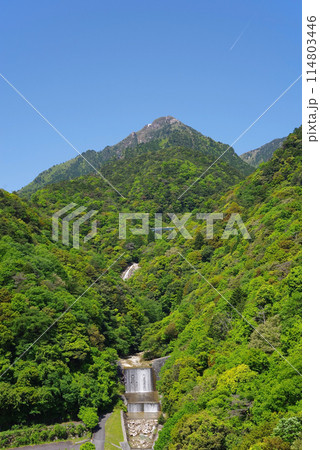 新緑の御在所岳【湯の山かもしか大橋からの眺望・三重県菰野町】 114803446