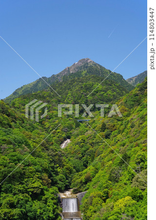 新緑の御在所岳【湯の山かもしか大橋からの眺望・三重県菰野町】 新緑の御在所岳【湯の山かもしか大橋からの眺望・三重県菰野町】 114803447