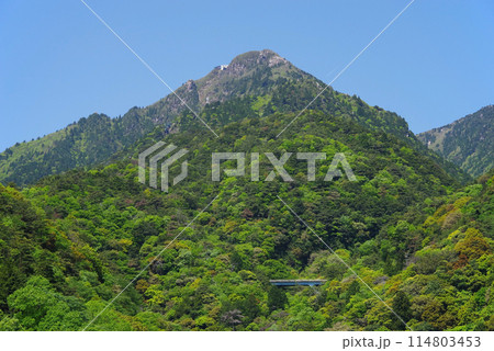 新緑の御在所岳【湯の山かもしか大橋からの眺望・三重県菰野町】 新緑の御在所岳【湯の山かもしか大橋からの眺望・三重県菰野町】 114803453