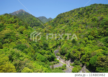 新緑の御在所岳山麓・湯の山かもしか大橋からの眺望《三重県・菰野町》 114803462