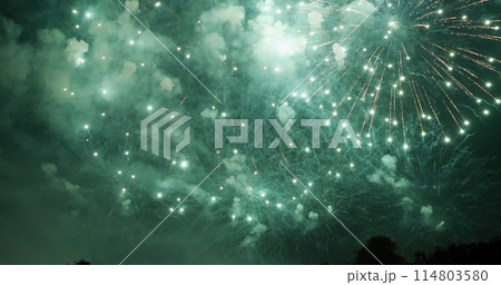 Green firework in night time celebrate national holiday. Green Firework celebrate anniversary happy new year 2024, 4th of july holiday festival. Countdown to new year 2024 festival party background Green firework in night time celebrate national holiday. Green Firework celebrate anniversary happy new year 2024, 4th of july holiday festival. Countdown to new year 2024 festival party background 114803580