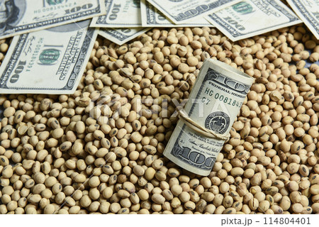 Dollars banknotes and coins and soy beans,oleaginous commoditi value concept. 114804401