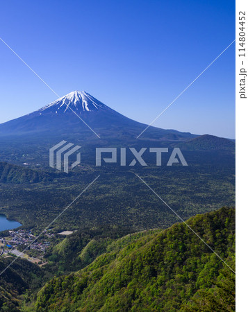 春の富士山・王岳~鬼ヶ岳稜線より望む絶景 春の富士山・王岳~鬼ヶ岳稜線より望む絶景 114804452
