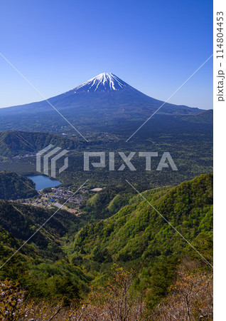 春の富士山・王岳～鬼ヶ岳稜線より望む絶景 114804453