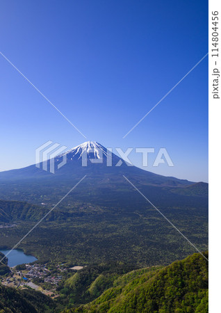 春の富士山・王岳~鬼ヶ岳稜線より望む絶景 春の富士山・王岳~鬼ヶ岳稜線より望む絶景 114804456
