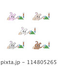 野うさ、登山うさぎ、ハイキングうさぎ、ゆるキャラうさぎ、可愛いうさぎのイラスト 114805265