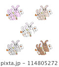 野うさ、登山うさぎ、ハイキングうさぎ、ゆるキャラうさぎ、かわいいうさぎのイラスト 114805272