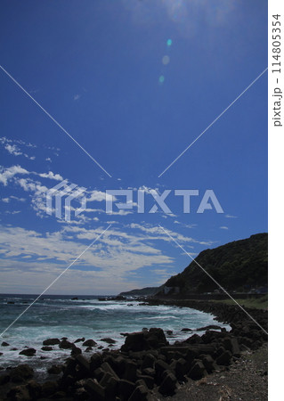 高知県国道321号線　足摺サニーロードの風景 114805354