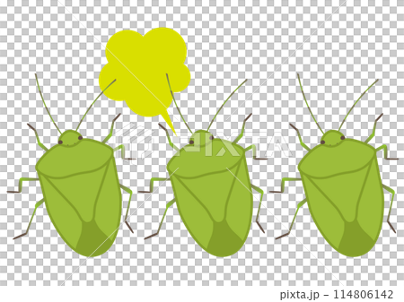 集まったカメムシが匂いを出すイメージのベクターイラスト 114806142