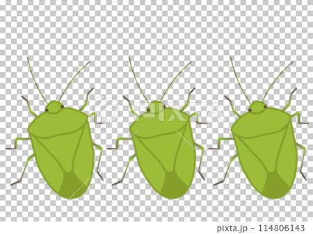 Vector illustration of three cute stink bugs dancing together Vector illustration of three cute stink bugs dancing together 114806143